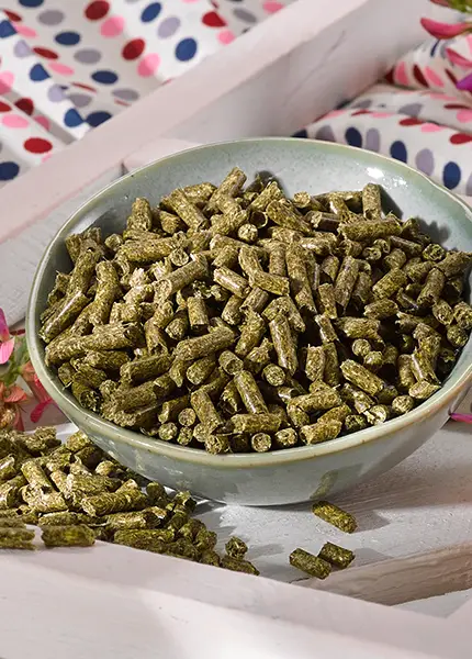 Esparsette Pellets für Pferde in einer gräulichen Schüssel, Tuch mit Punkten im Hintergrund, Pferdefutter