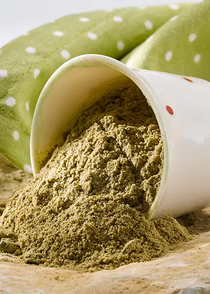 Futter für Pferde, Pulver, Ergänzungsfutter