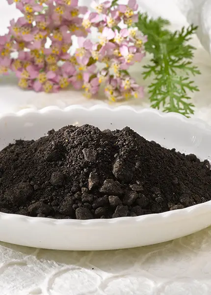 Futter für Pferde, Pulver, Ergänzungsfutter 