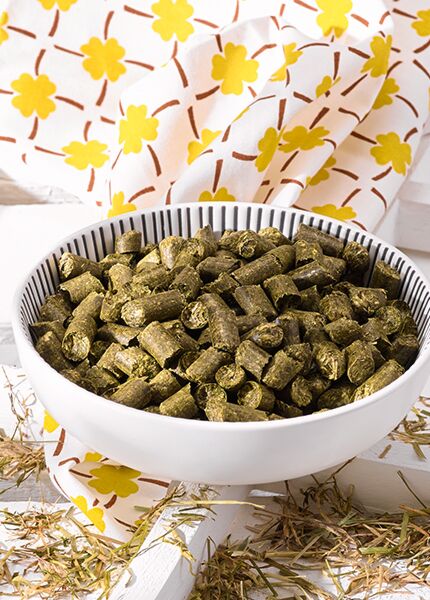 OKAPI Haycobs Sugar Light