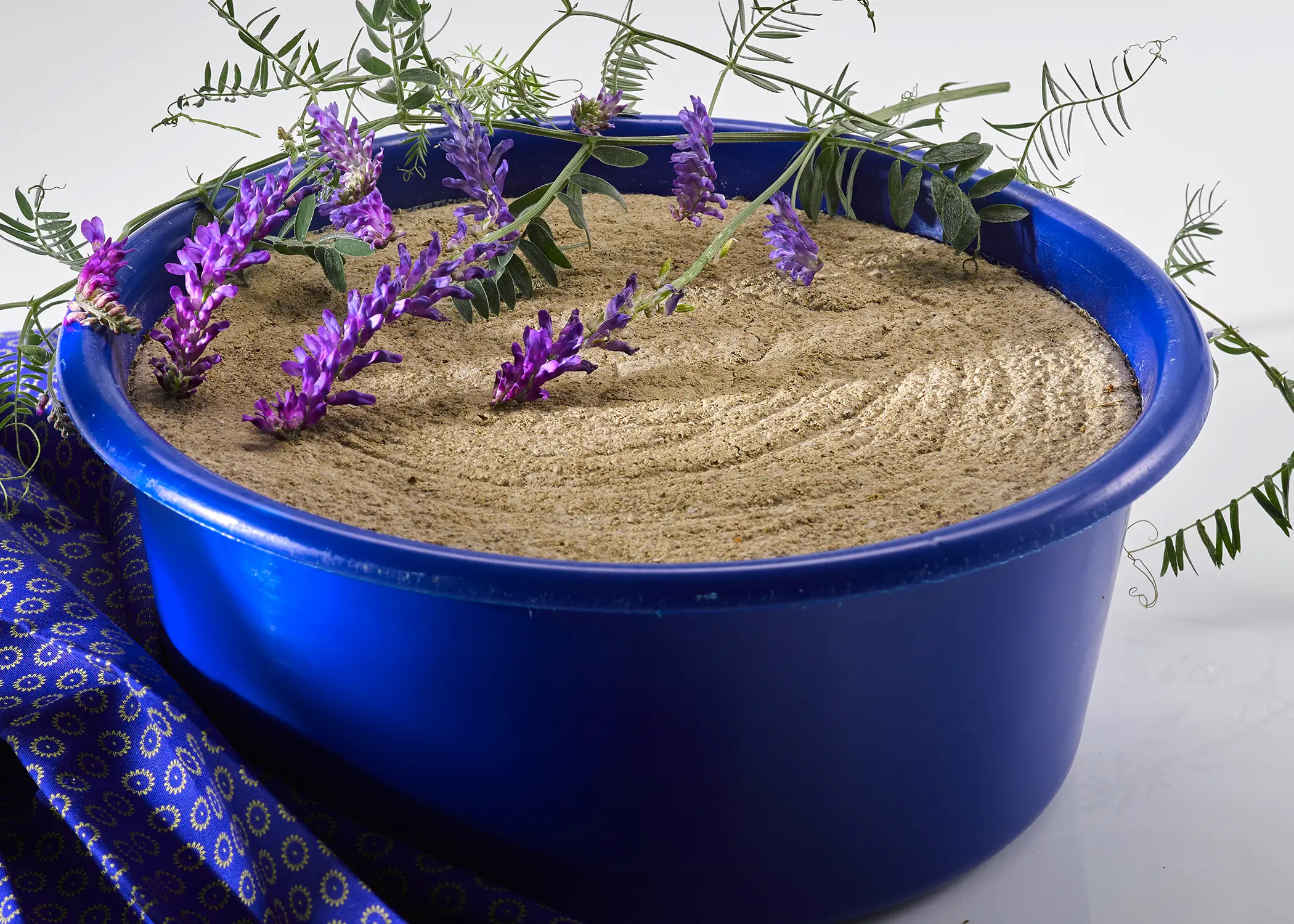 Mineralfutter f&uuml;r Pferde, Mineralfutter Leckschale