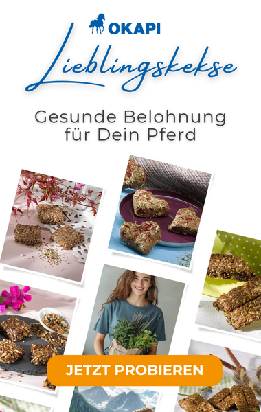 Handmade horse treats for your horse