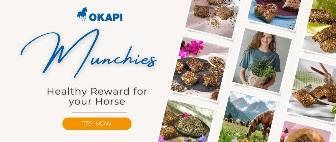 Handmade horse treats for your horse