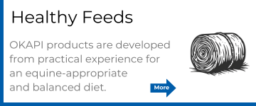 Healthy horse feed