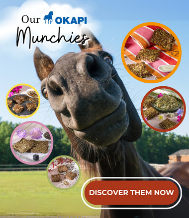 Handmade horse treats from OKAPI