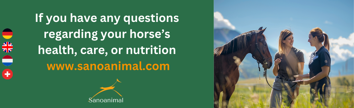 For questions about your horse's health - Sanoanimal