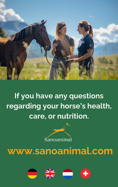 For questions about your horse's health - Sanoanimal